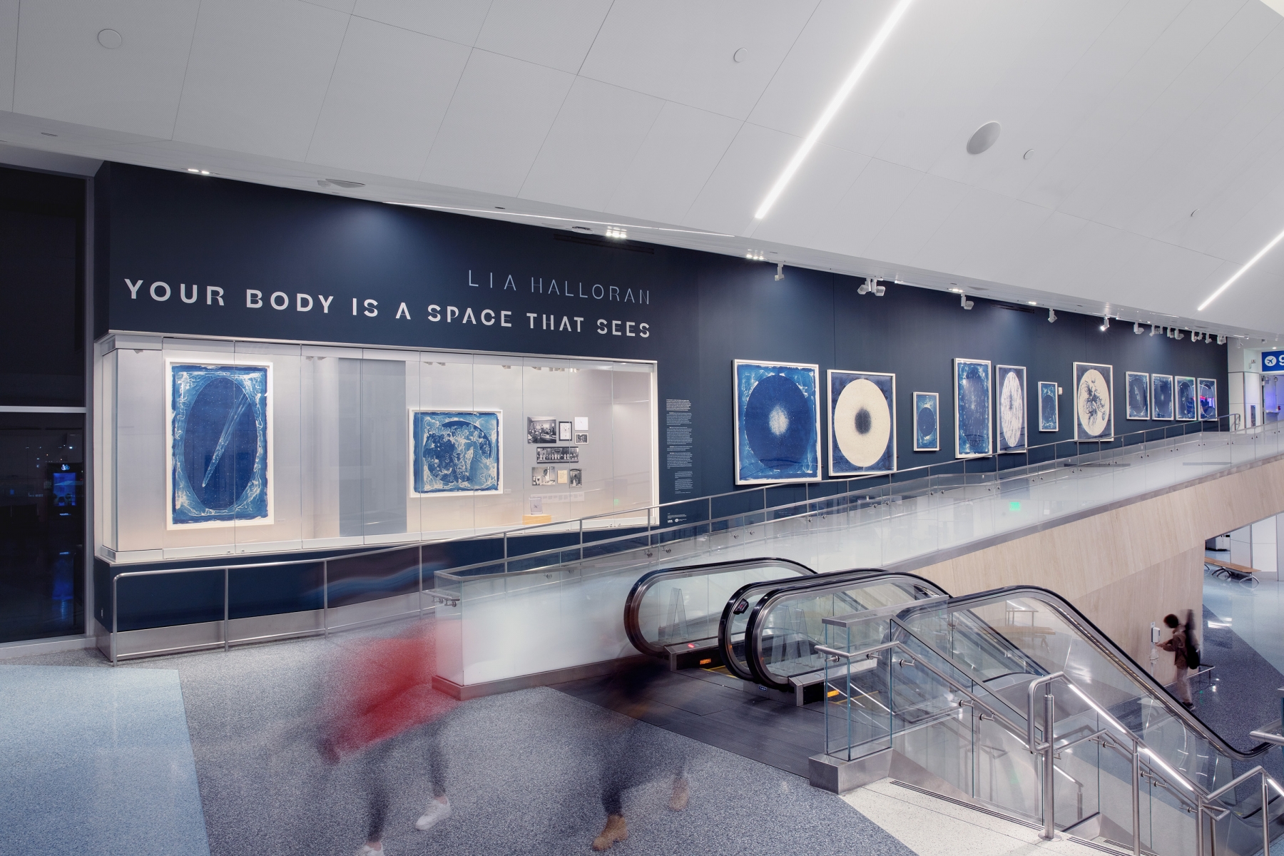 Installation view of Lia Halloran: Your Body is a Space that Sees at LAX Terminal 1.&nbsp;Photos courtesy of SKA Studios LLC.