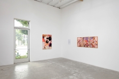 Installation View of&nbsp;Unreachable Spring: Andr&eacute; Hemer