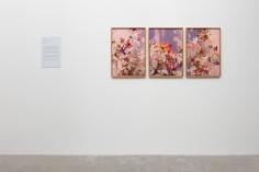 Installation View of&nbsp;Unreachable Spring: Andr&eacute; Hemer