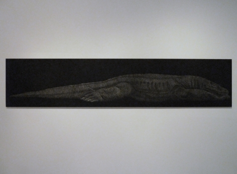 Marisol Rendón I'm Just a Lizard? 2013 24'' x 120'' Charcoal on paper