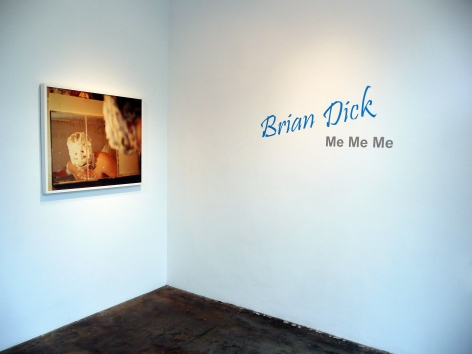 Installation View of Brian Dick: Me Me Me