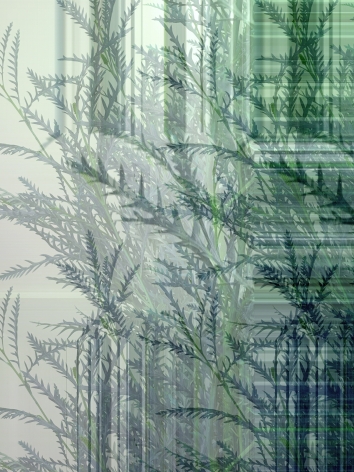 Masood Kamandy Botanical (Green), 2017 Dye-sublimation print on aluminum 36 x 27 in.