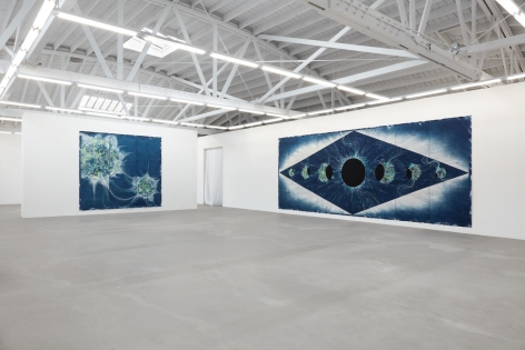 Installation view of Lia Halloran: The Sun Burns My Eyes Like Moons_Image 2