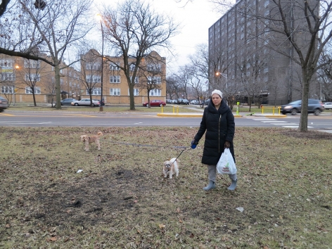 Edra Soto walking her dogs and collecting liquor bottles in the&nbsp;East Garfield Park neighborhood of Chicago.