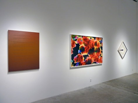 Installation View of Group Show: For All Intents and Purposes