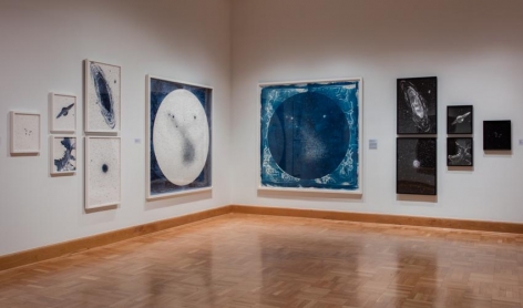 Lia Halloran cyanotypes and drawings hung in a salon style installation in "The Observable Universe" exhibition