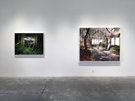 Installation view of Chris Engman: Prospect And Refuge