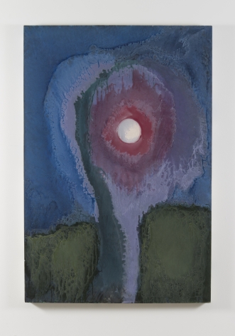 Nancy Evans, Apple Moon, 2016, Acrylic on canvas, 68 x 46 in