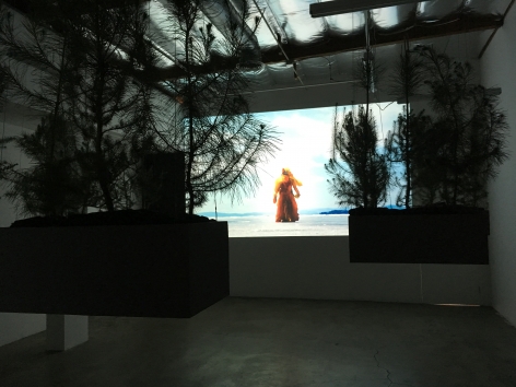 Installation View of Antonia Wright: Under the Water Was Sand, Then Rocks, Miles of Rocks, Then Fire