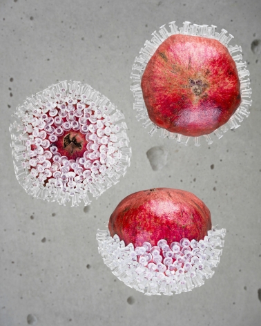 Masood Kamandy Pomegranate and Pushpins,&nbsp;2013