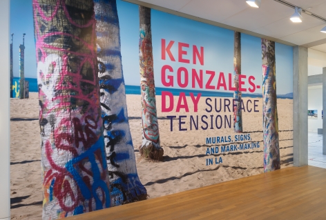 Installation View of Ken Gonzales-Day: Surface Tension
