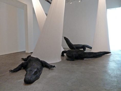 Installation View of Marisol Rendón: So, Dragons Do Exist?