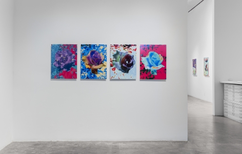 Installation View of Masood Kamandy: The Effect of Lightning on a Rainbow