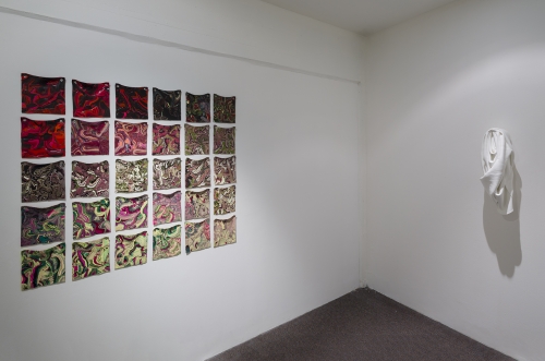 Installation view of&nbsp;Expanding on an expansive subject,&nbsp;featuring Margie Livingston

&nbsp;